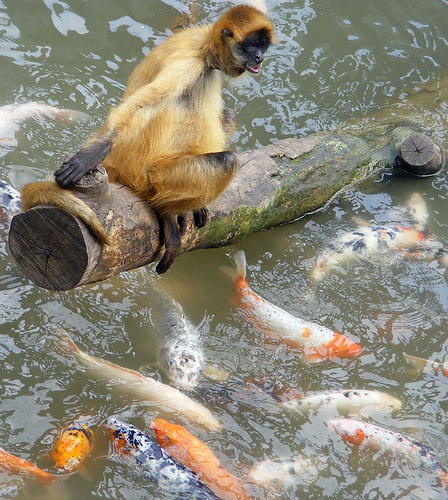 Brian fishing off of Key West